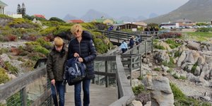 The advantage of the boardwalk is it allows you to get really close to the penguins